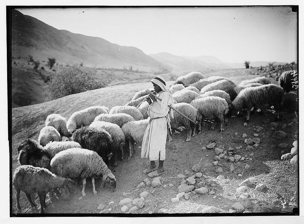 Shepherd boy playing to his sheep - PICRYL Public Domain